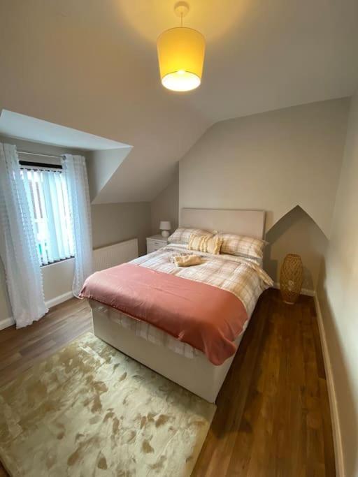 The Cozy Homestay Belfast Exterior photo