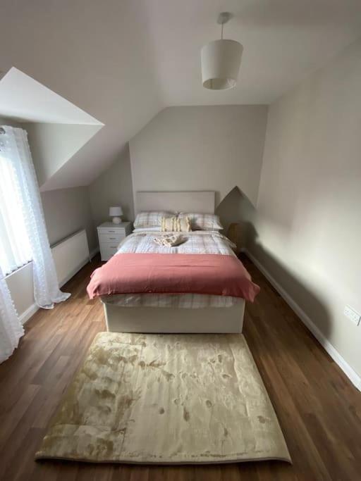 The Cozy Homestay Belfast Exterior photo