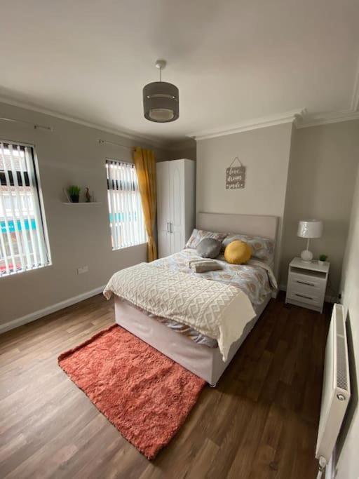 The Cozy Homestay Belfast Exterior photo